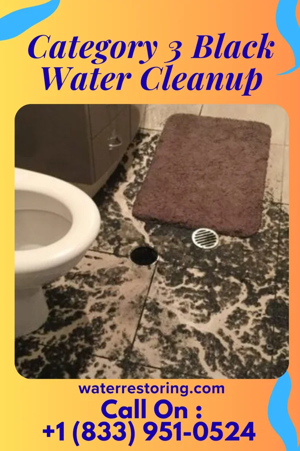 Category 3 Black Water Cleanup in Mortons Gap, KY