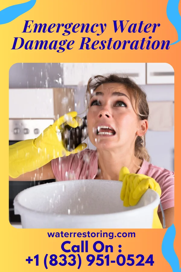 Emergency Water Damage Restoration in Mortons Gap, KY
