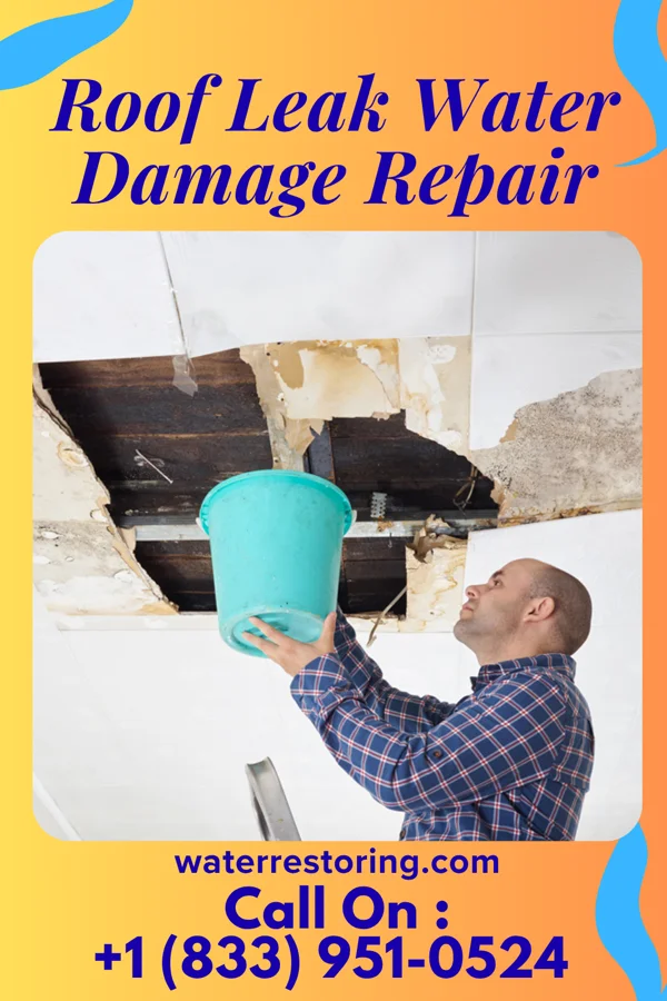 Roof Leak Water Damage Repair in Mortons Gap, KY