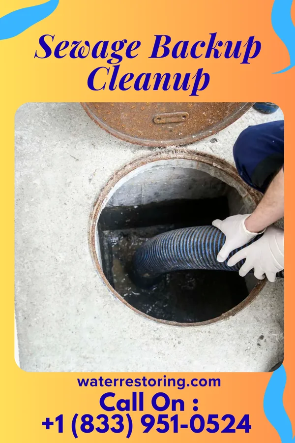 Sewage Backup Cleanup in Mortons Gap, KY