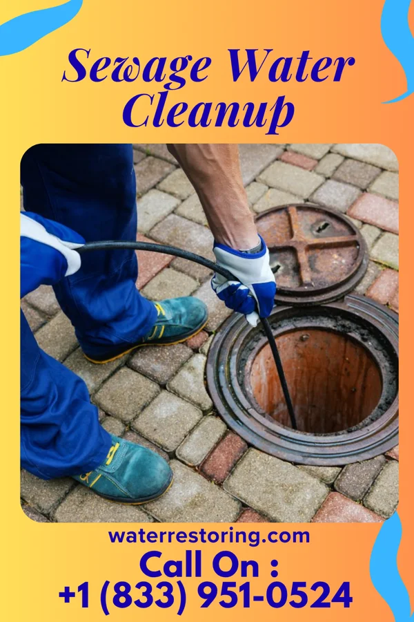 Sewage Water Cleanup in Mortons Gap, KY